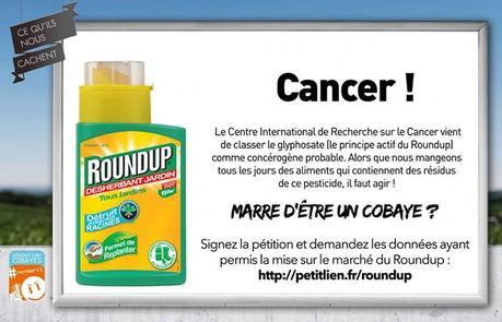 Le glyphosate utilisé dans le Roundup classé cancérogène probable par l'OMS !