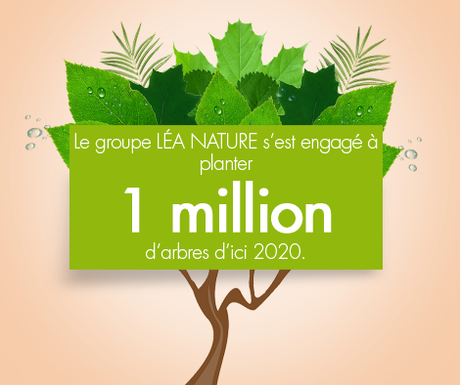 JOURNÉE INTERNATIONALE DES FORÊTS Aujourd'hui, la forêt Léa Nature compte 430 000 arbres.