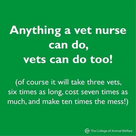 No disrespect but... !