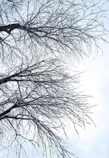 anteketborka.blogspot.com, ciel 24