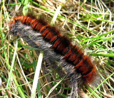 Certains sont déjà là...