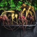 FOOD: Silo, le restaurant éco-responsable