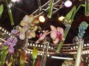 Mars, avait lieu site commerce équ...