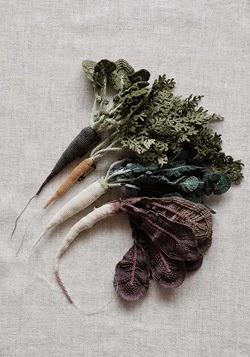 jungjung-carotte (2)