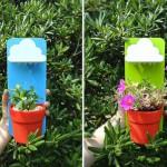 DECO : Little Clouds for houseplants !