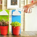 DECO : Little Clouds for houseplants !