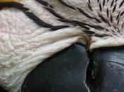 Amazonie coté Colombien