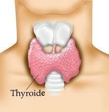 inflammation-thyroide