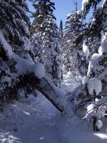 Canada - La Mont Tremblant 