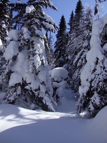 Canada - La Mont Tremblant 
