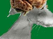 Encore expressions. faut-il avoir Etre cerveau