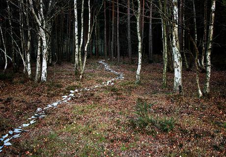 Ellie DAVIES Come with me (© Ellie Davies, Come with me)