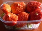 Orgie raisonnée gariguettes