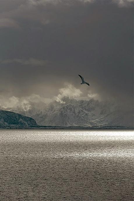 la mer, les mots, et puis des photos