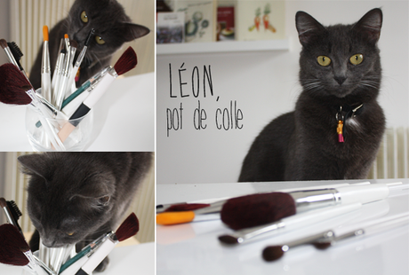 Focus beauté [ concours inside ]