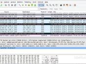 Wireshark l'analyseur protocoles réseau