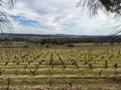 Premiers paysages printemps