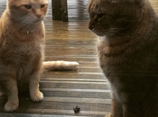 #2015projet52 #week12 #fenetresur…