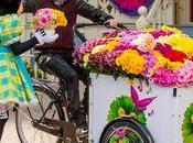 Disneyland Paris fête printemps avec fleurs Hollande