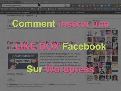 Comment insérer une Like Box Facebook sur WordPress