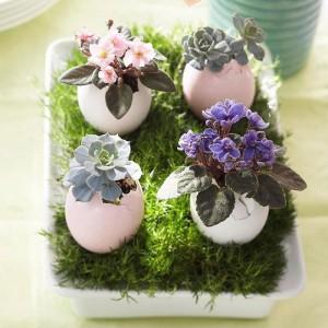 coques-oeufs-pots-fleurs