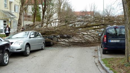 Tempête sur Munich: arbres déracinés, voitures défoncées