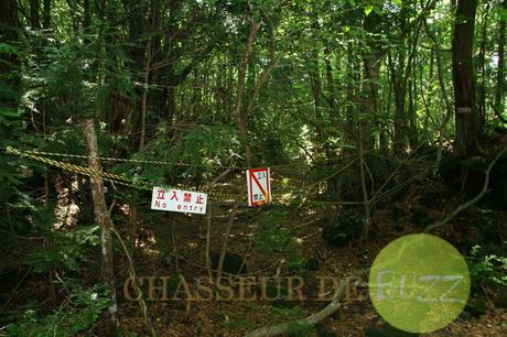 forêt Aokigahara  « suicide 