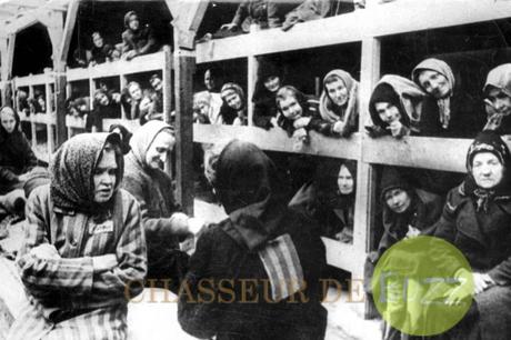 Camp de Concentration d’Auschwitz-Birkenau