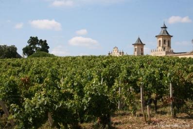 Vignes du Médoc Vignes du Médoc