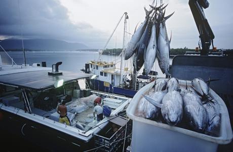 L'analyse des mégadonnées permet aussi de lutter contre la pêche illégale