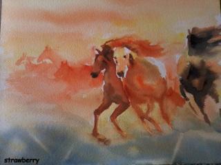 Image and video hosting by TinyPic