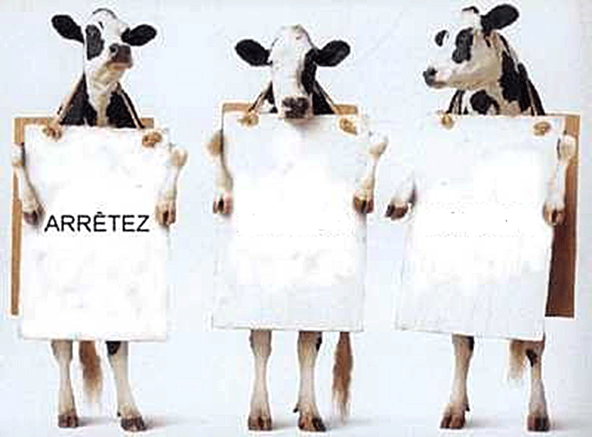 Trois millions de morts par jour en France !!! Trois millions de morts par jour en France !!!