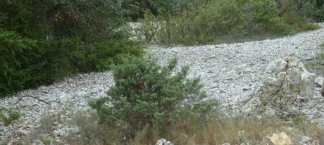 nature,pierres,eau,fleuve,poésie,poème,écriture,balade,auteur,livre,recueil,culture,randonnée