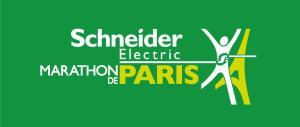 ASICS 33 DFA : Serie limitee Marathon de Paris 2015!