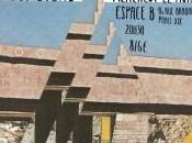 Quand l’Espace Merseyside organisent Psyché Night