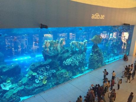 aquarium-dubai-mall-mister-emma