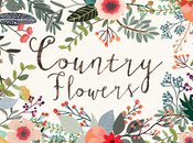 superbes packs graphiques