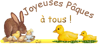 2995546595_1_17_qQ0iijnf