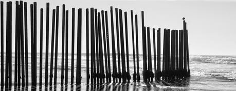 Vers une société de l’espoir et de la solidarité