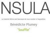 Galerie INSULA exposition Bénédicte PLUMEY Souffle