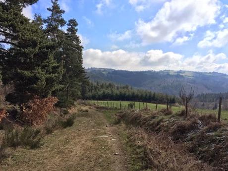 Entre 42 et 43 (moyenne Loire)