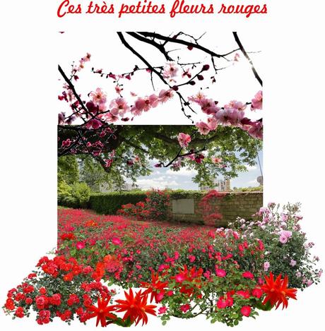 Architecture insurrectionnelle 