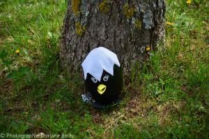 11013380_822375131143750_4465912240357953958_n