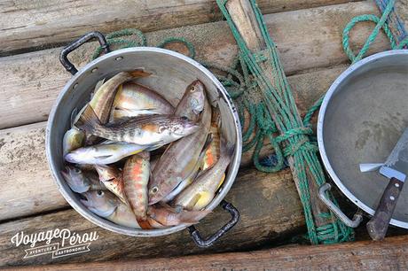 Que faire dans le nord du Pérou : pêche artisanale