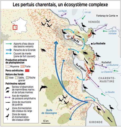 Création du Parc naturel marin de l'estuaire de la Gironde et des Pertuis charentais…sur le papier !