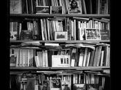 Exposition Gérard Rondeau, bord l’ombre