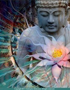 Nous avons bien un 6ème sens magnétique !