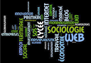 Une année de SOS...SES...Je Blogue !