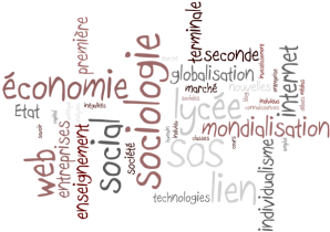 Une année de SOS...SES...Je Blogue !