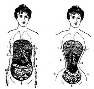 Un peu d'histoire : le Corset